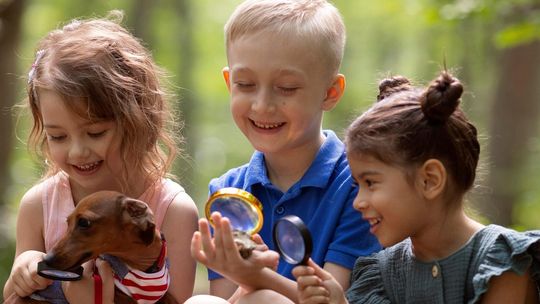 Składając wniosek o 800 plus w lipcu, nie otrzymasz świadczenia za czerwiec - [VIDEO]