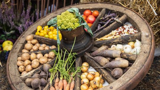 „Smak i zapach tradycji”- rozstrzygniecie oferty złożonej z pominięciem otwartego konkursu ofert