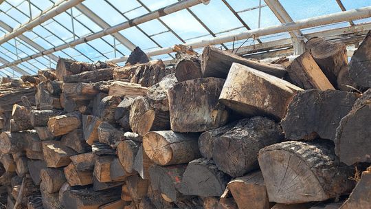 Sprzedaż drewna.