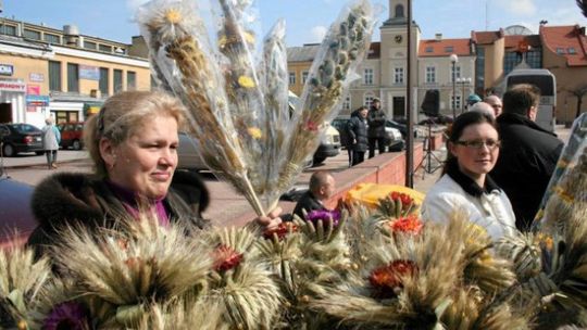 Sprzedaż Wileńskich Palm na Starym Rynku w Łomży