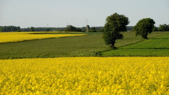 Stawiamy na młodych. W rolnictwie 