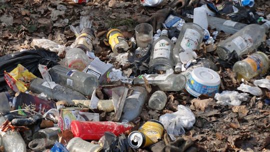 Stawki za wywóz śmieci ustalimy później