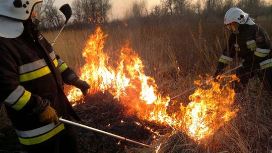 "STOP pożarom traw!" - apel strażaków - VIDEO
