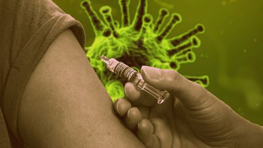 Szczepienia przeciw grypie dla seniorów z Łomży - [VIDEO]