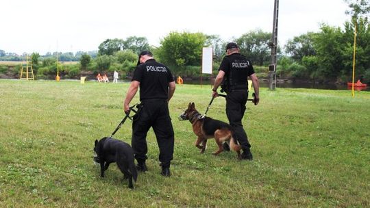 Szkolenie psów policyjnych na plaży miejskiej w Łomży