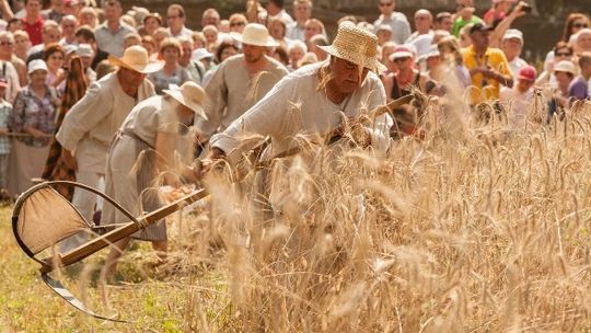 Trzynaste  Święto Chleba w Ciechanowcu za nami
