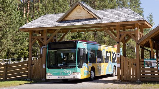 Turystyczna Ósemka – sukces wakacyjnej linii autobusowej