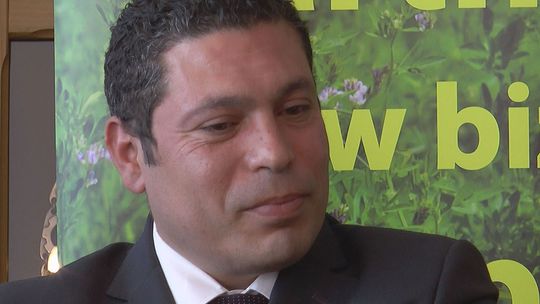 Uniwersytet Przyrodniczy w Lublinie zajmie się lucerną - VIDEO