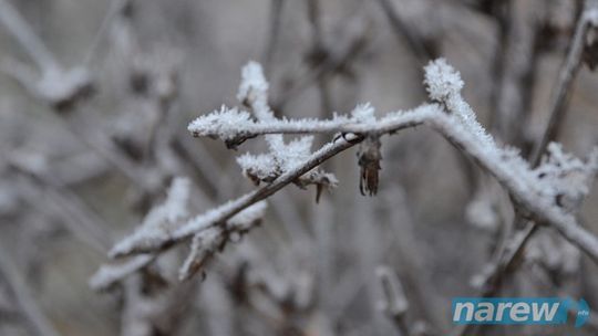 Uwaga w nocy duży mróz - nawet do -16 stopni