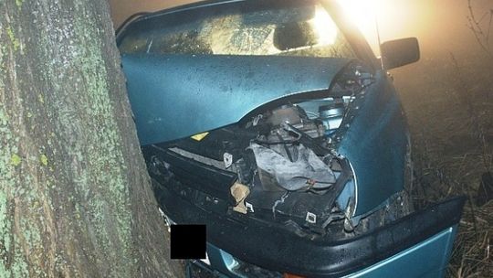 Volkswagenem w drzewo