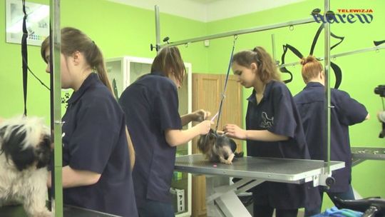 WETA - dzień otwarty szkoły - VIDEO