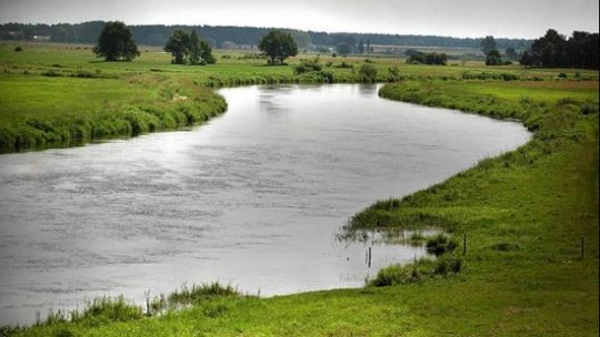 Wielka księga Narwi