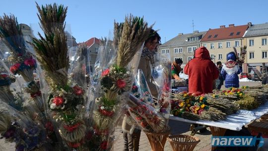 Wileńskie Palmy na Starym Rynku w Łomży - FOTO