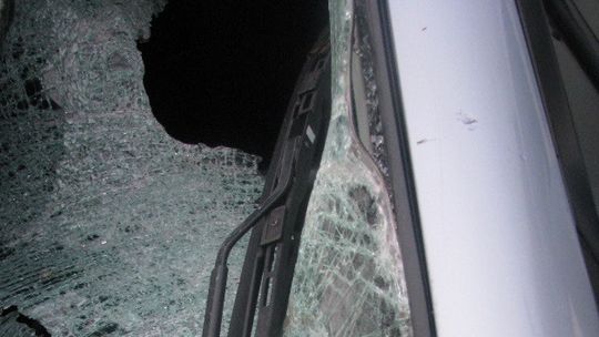 Wtargnął pod koła