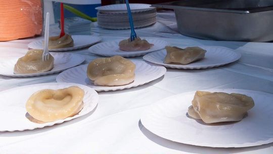 Uproszczona oferta złożona z pominięciem otwartego konkursu ofert