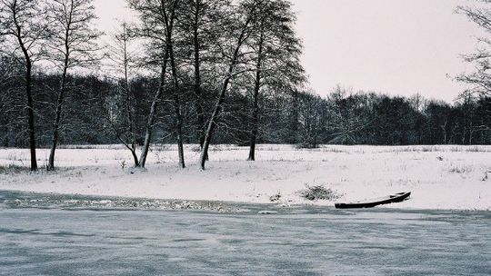 Z powodu silnych mrozów zmarło już 12 osób