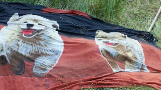 Zagadka śmierci dziecka – policja prosi o pomoc