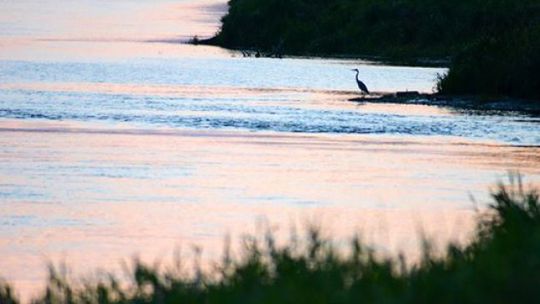 Zagłosuj na Rzekę Roku 2014