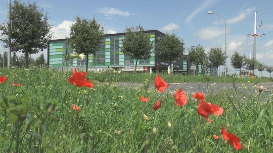 Zapraszamy na Konferencję Językoznawczą - VIDEO