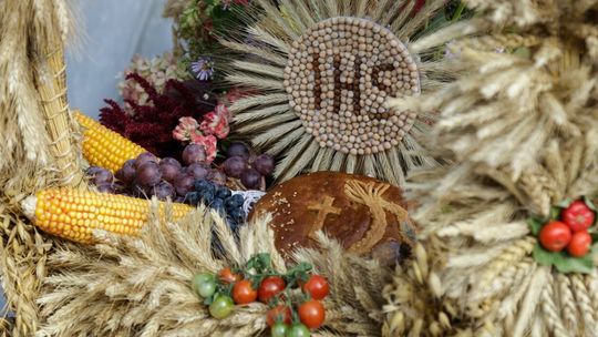 Zarząd Województwa Podlaskiego ogłasza konkursy o tematyce dożynkowej podczas Dożynek Wojewódzko – Diecezjalnych 2025 w Małym Płocku.