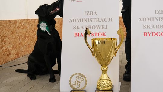 Zespół kynologiczny z podlaskiej KAS najlepszy w Polsce!