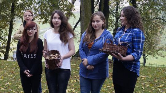 Żonkilowa nadzieja - FOTO