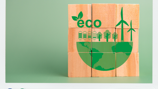 Zrównoważone mleczarstwo – przyszłość produkcji mleka w Polsce i na świecie