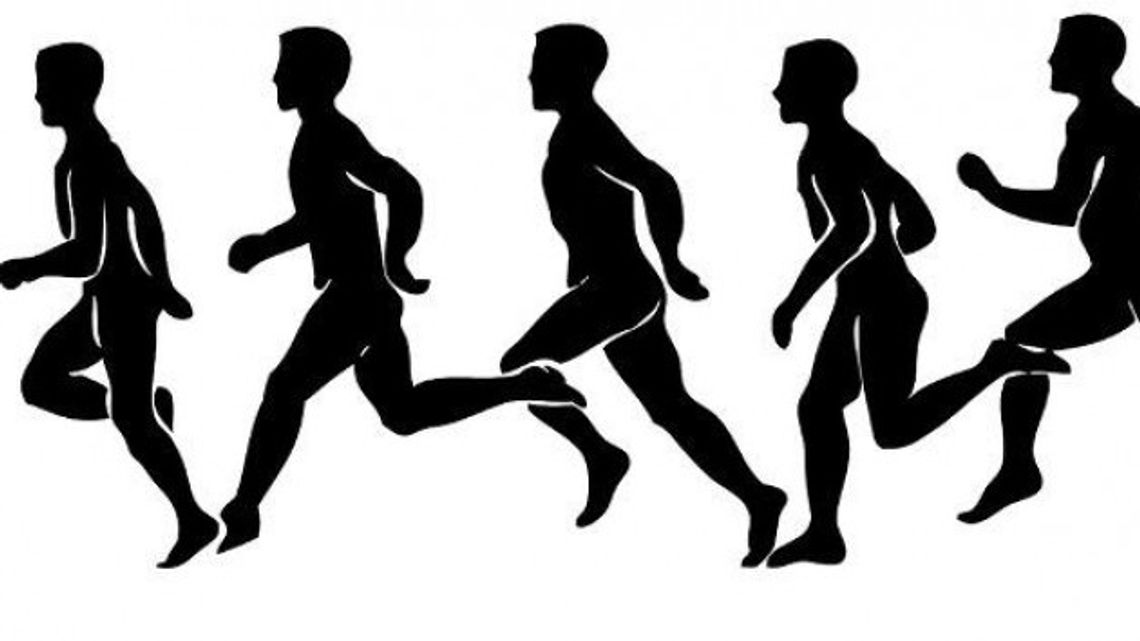 „11 biega 2015” „11 biega 2015”