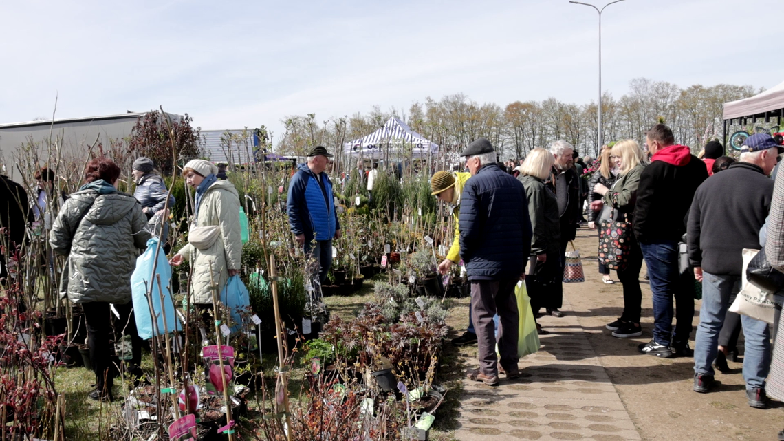 29. Wiosenne Targi Ogrodnicze w Szepietowie - [VIDEO]
