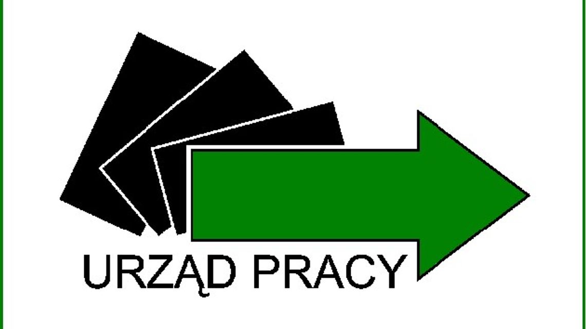 Aktualne oferty pracy