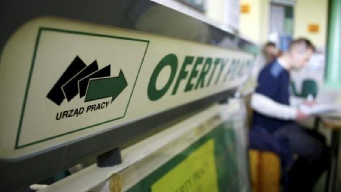 Aktualne oferty pracy Powiatowego Urzędu Pracy w Łomży