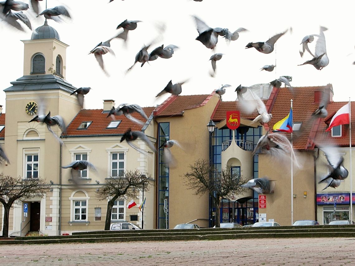 Artysta rzeźbi, odlewnie się nie wyrabiają, a miasto szuka sponsora