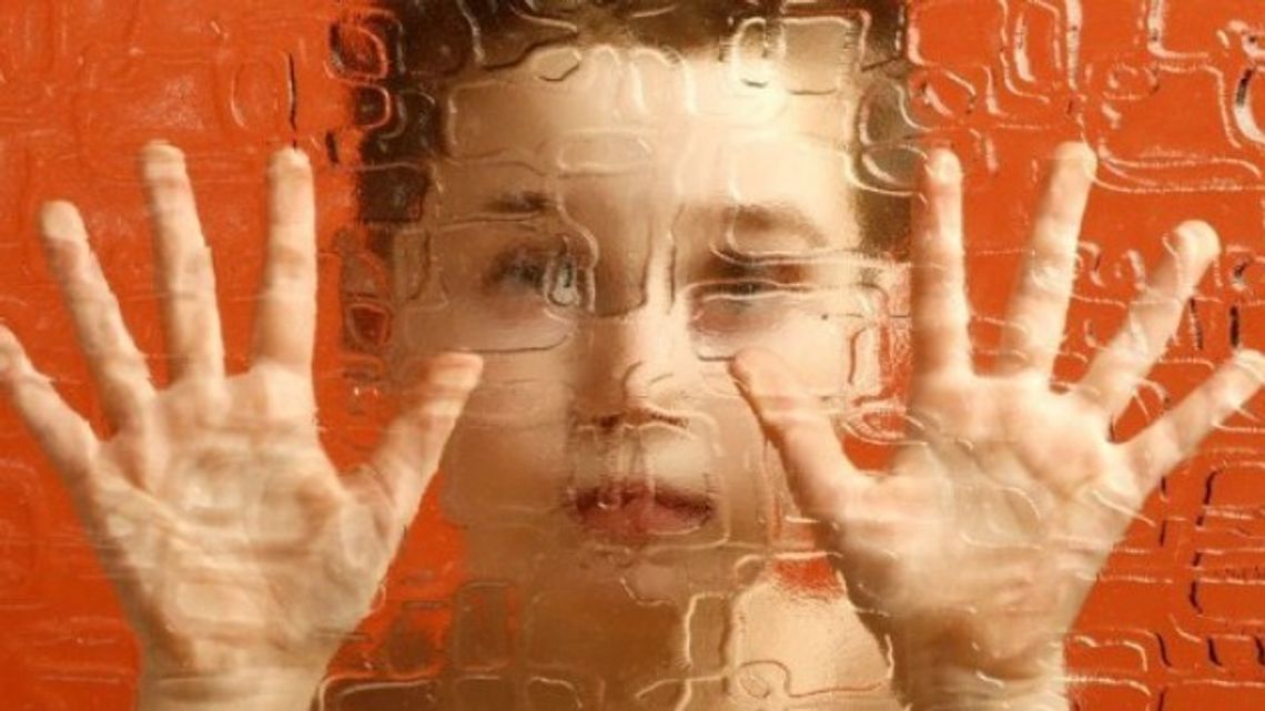 "Autyzm - co dalej?"