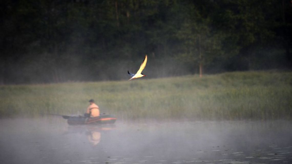 Będzie nowe na Narwi i Pisie? Będzie nowe na Narwi i Pisie?
