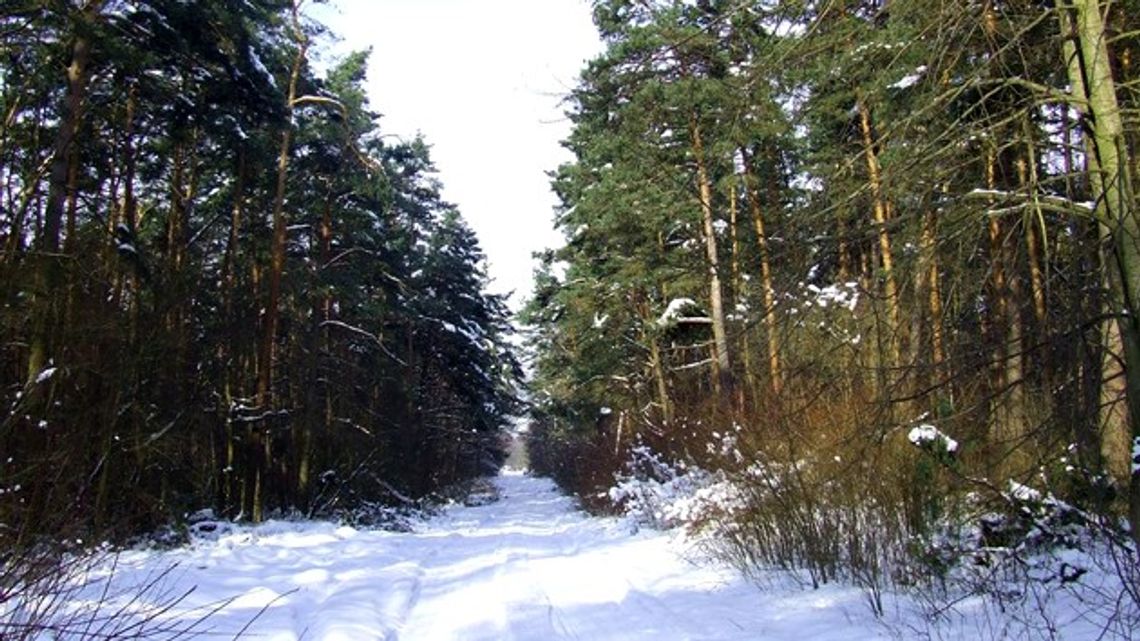 Druga ofiara mrozów w powiecie ostrołęckim