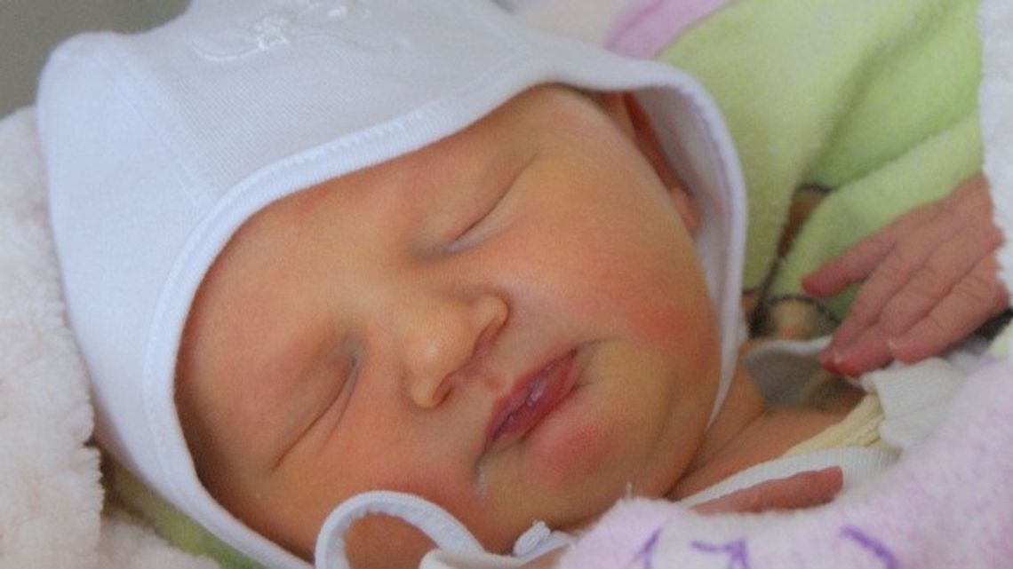 Dzień dobry, już jestem! Dzień dobry, już jestem!