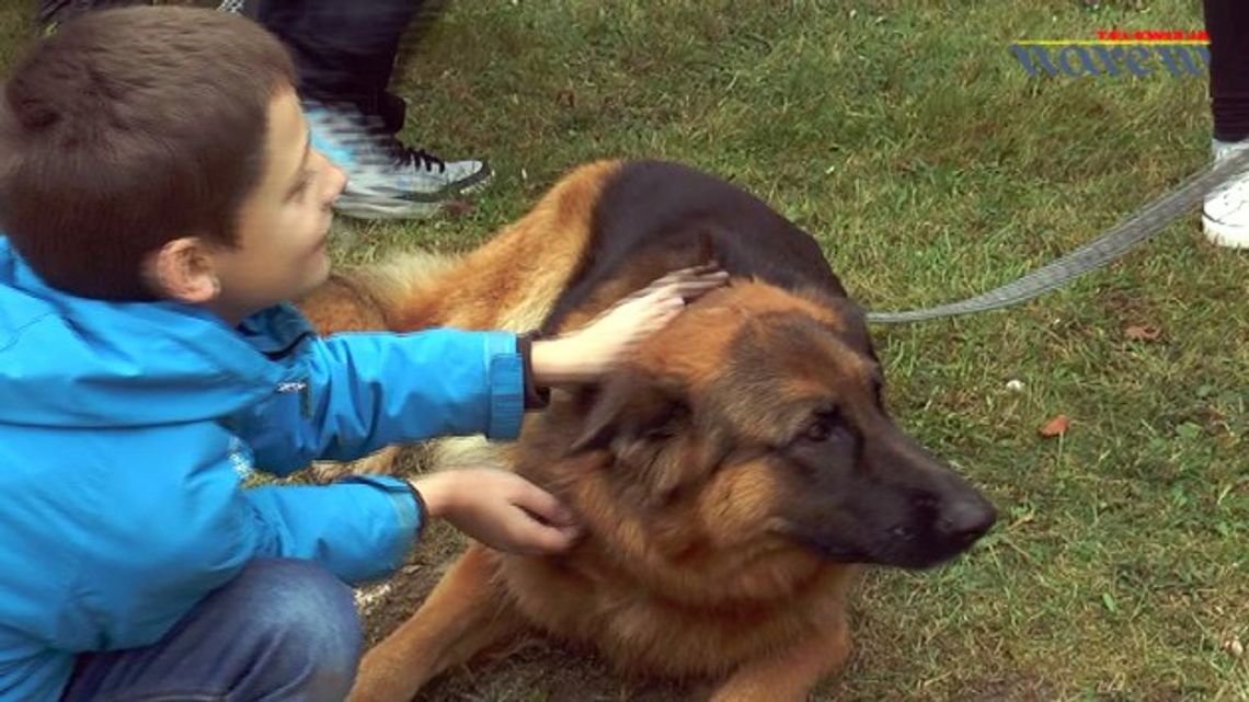 Festyn "Pupile Wety" - VIDEO