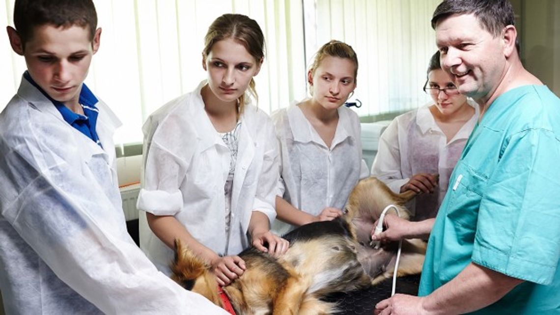 „Fundusze Europejskie z ludzką twarzą” w Łomży „Fundusze Europejskie z ludzką twarzą” w Łomży