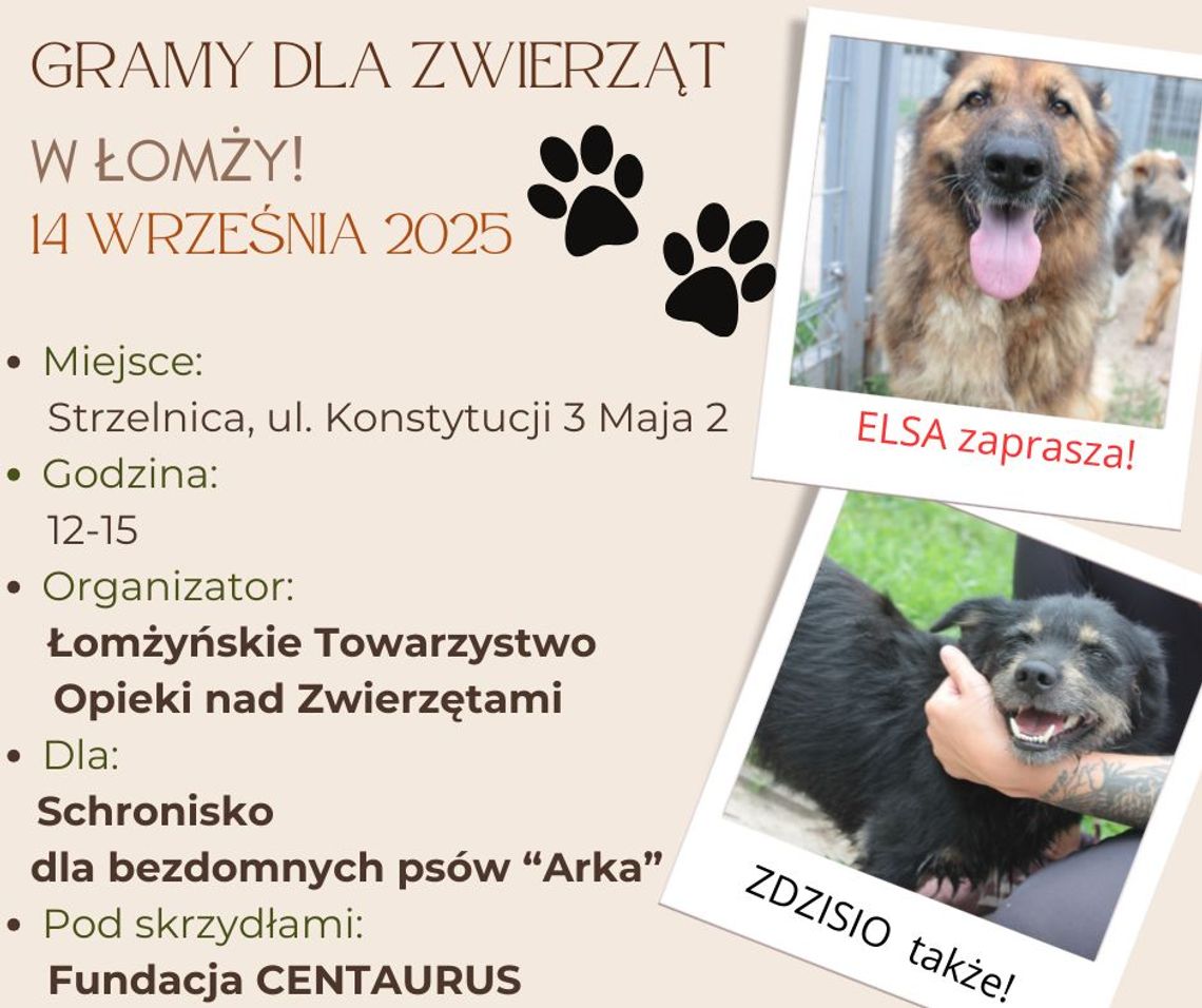 Gramy dla zwierząt w Łomży! - [VIDEO]