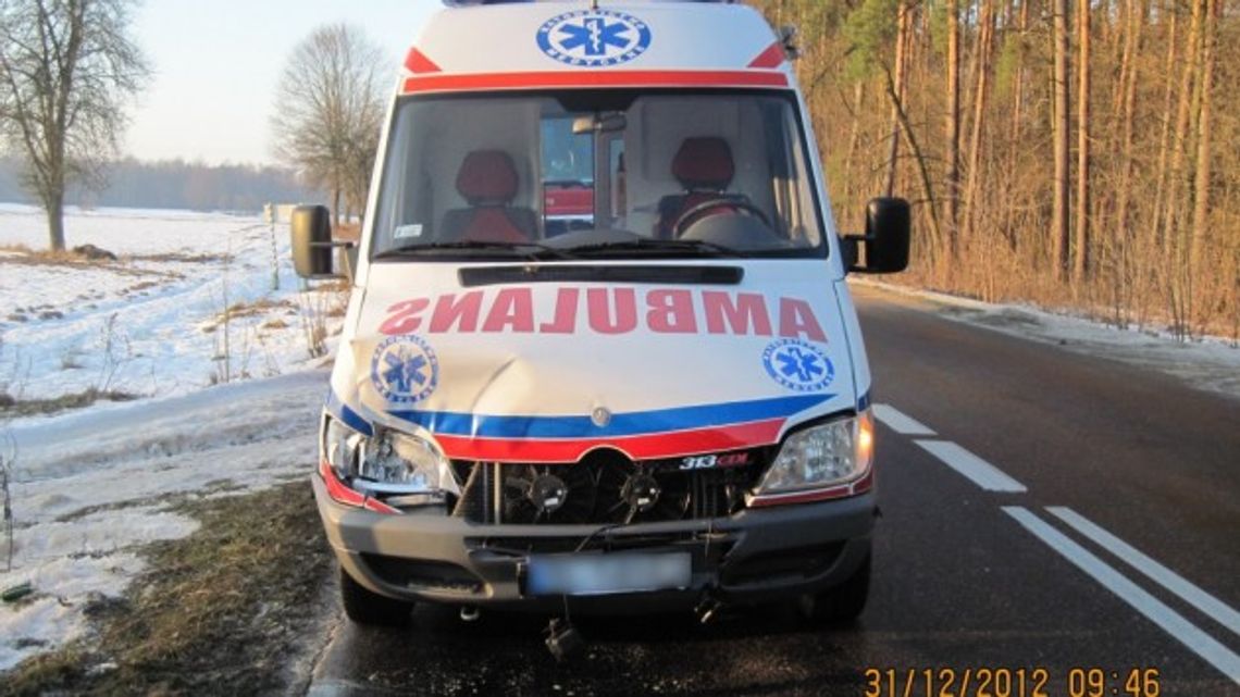 Karetka pogotowia zderzyła się z łosiem