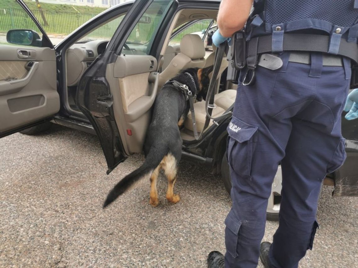 Kierowca pod wpływem alkoholu, narkotyków i nietylko