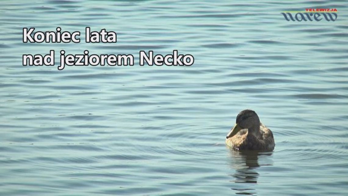 Koniec lata nad jeziorem Necko - etiuda video