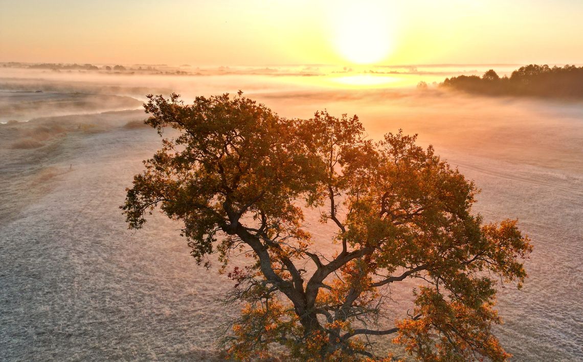 Konkurs fotograficzny i spacer edukacyjny z okazji Dnia Krajobrazu