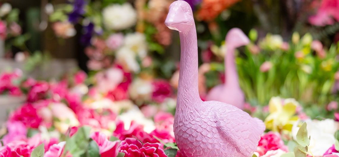 Konkurs „Nasze Podwórko” – uczniowie zmieniają swoje otoczenie!