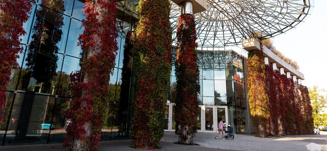 Kopciuszek albo tryumf dobroci