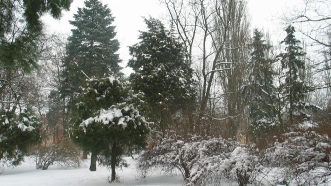 Łagodna zima - kto zyskuje, kto traci ? Łagodna zima - kto zyskuje, kto traci ?