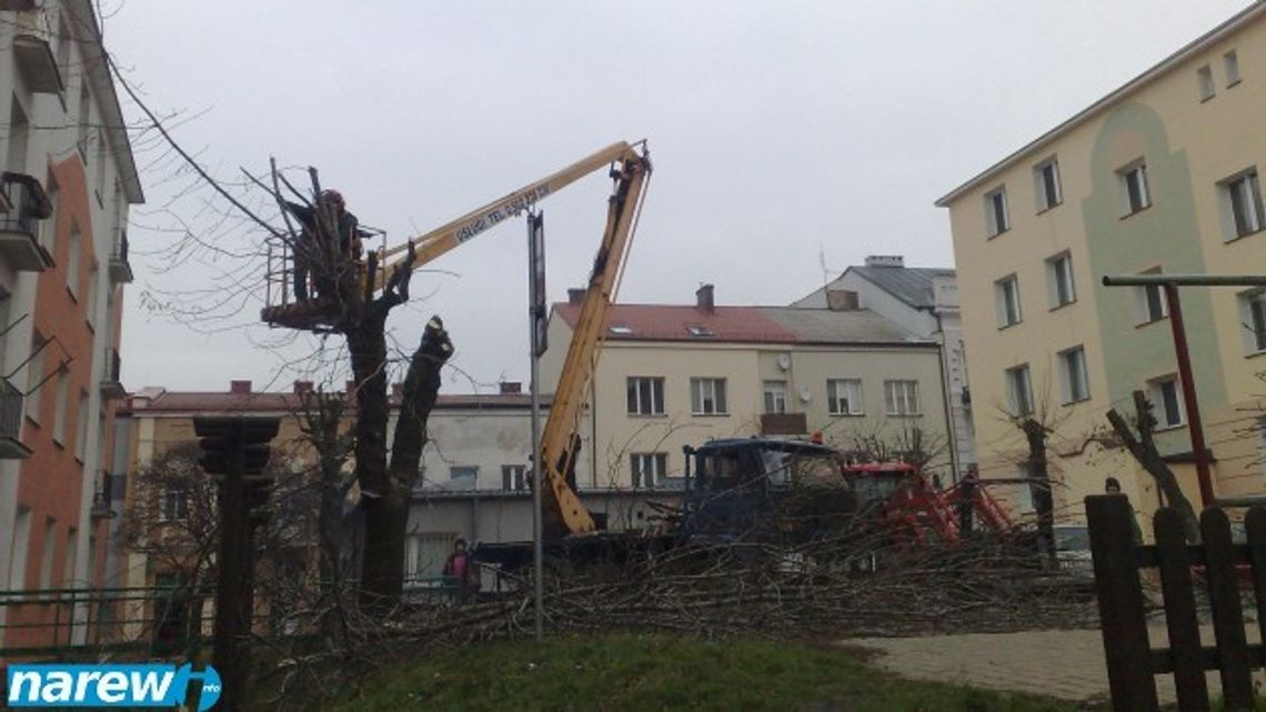 Łomża dba o zieleń miejską nawet jesienią