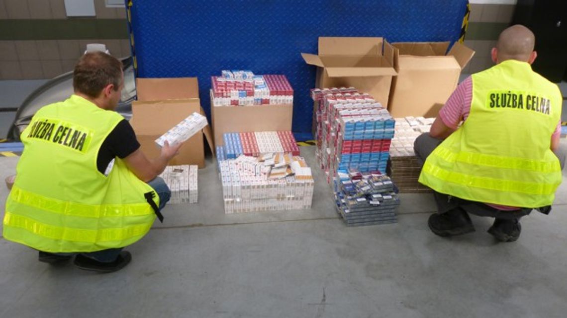 Łomżyńscy celnicy rozbili przemytniczą dziuplę Łomżyńscy celnicy rozbili przemytniczą dziuplę