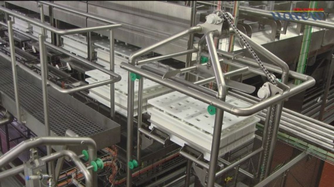 Mlekpol - uruchomienie nowej serowni w zakładzie w Kolnie