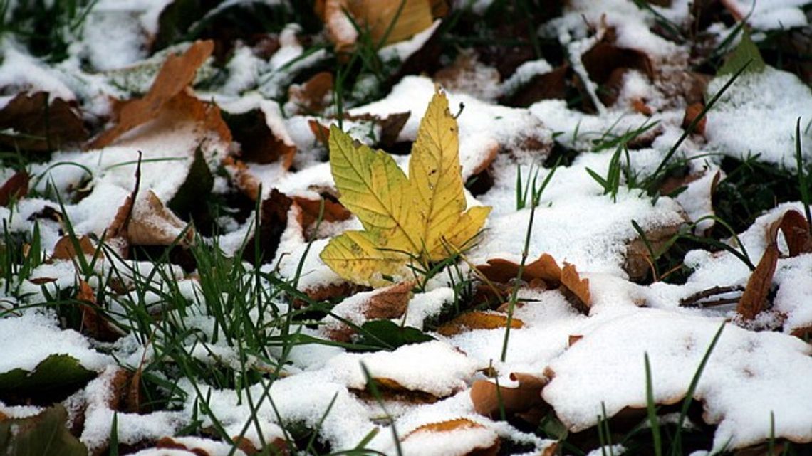 Mrozy jeszcze nam nie grożą, ale może spaść śnieg Mrozy jeszcze nam nie grożą, ale może spaść śnieg